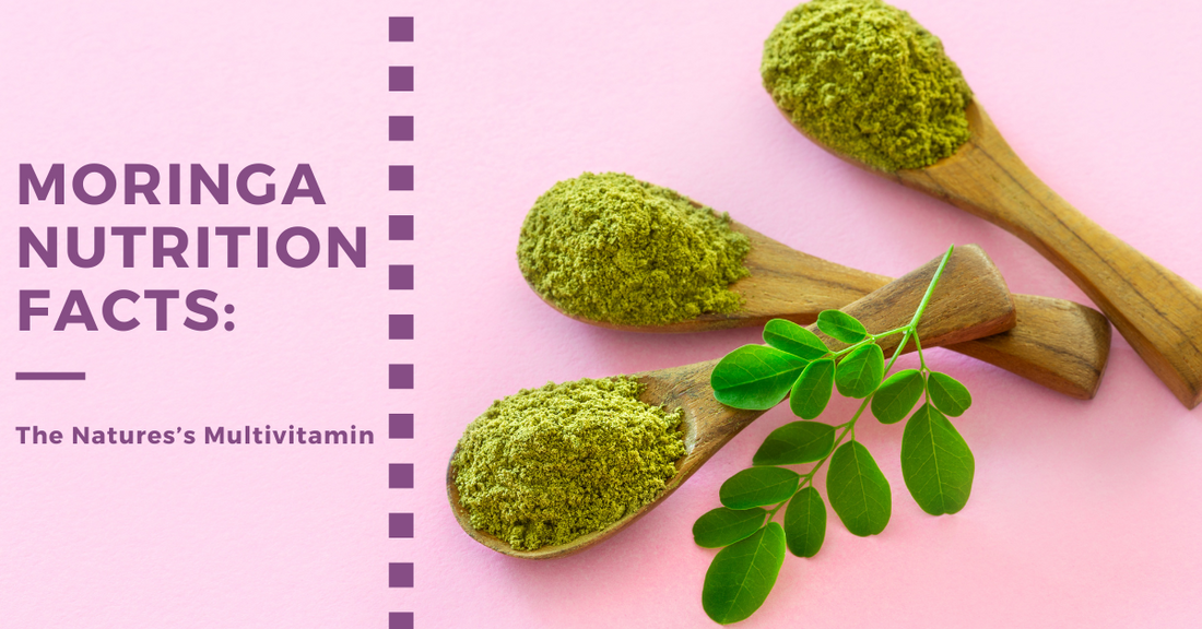 Moringa Nutrition Facts: The Nature’s Multivitamin