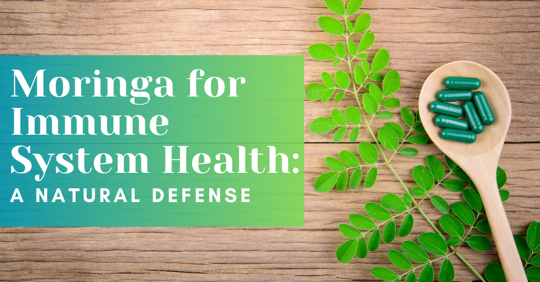 Moringa for Immune System Health: A Natural Defense