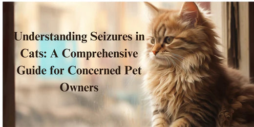 Seizures in cats could be stressful for both the pet and the owner.